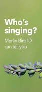 Merlin Bird ID by Cornell Lab Screenshot 4