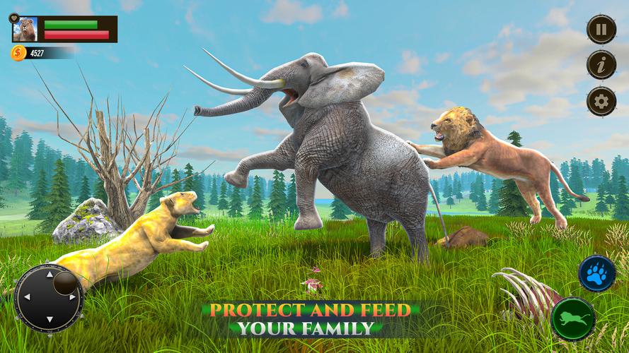 Jungle Kings Kingdom Lion スクリーンショット 2