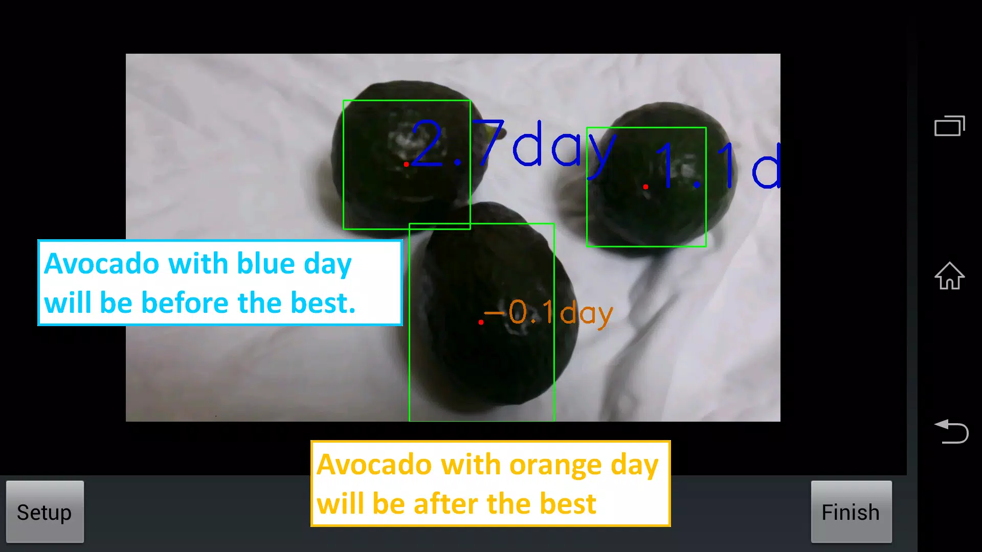 Avocado Checker Captura de pantalla 4