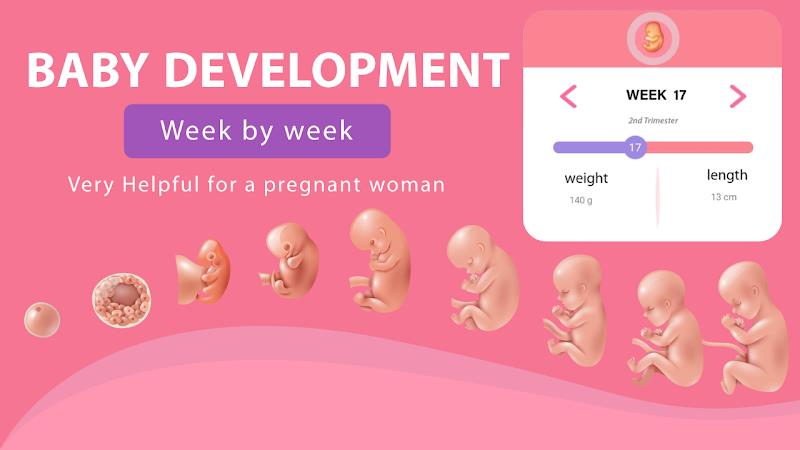 Pregnancy Weeks Tracker Captura de pantalla 2