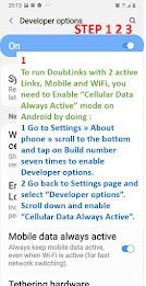 DoubLinks: a Multi-Path VPN Captura de tela 2