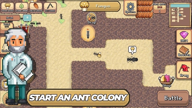 Pocket Ants应用截图第3张