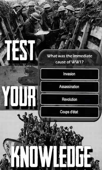 WW1 History Knowledge Quiz Screenshot 3