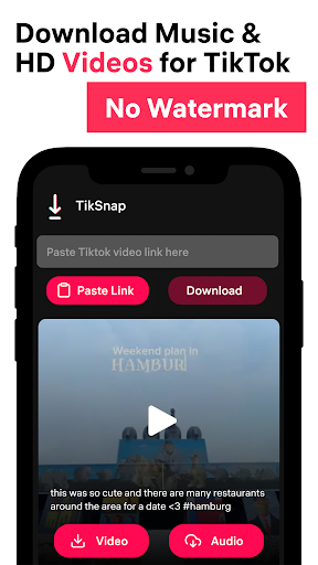 TikSnap: Downloader for TikTok Captura de tela 1