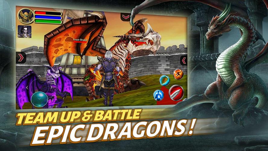 Sherwood Dungeon 3D MMO RPG Captura de pantalla 2