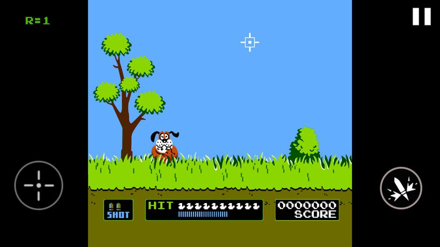 Duck Hunt स्क्रीनशॉट 1