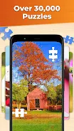 Jigsaw Puzzles HD Puzzle Games स्क्रीनशॉट 4