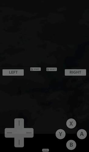 Fast DS Emulator - For Android Capture d'écran 2