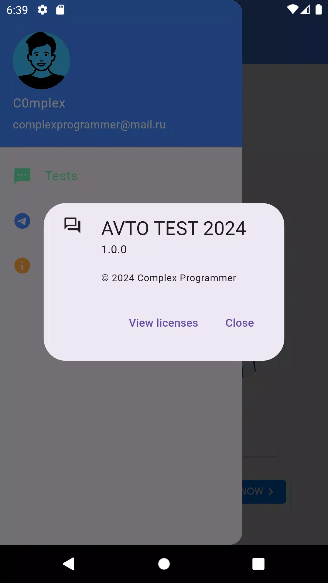 AVTO TEST 2024 Captura de pantalla 3