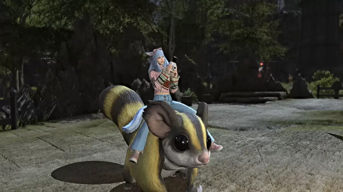 Photograph emote used while mounted